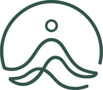 Define Success symbol